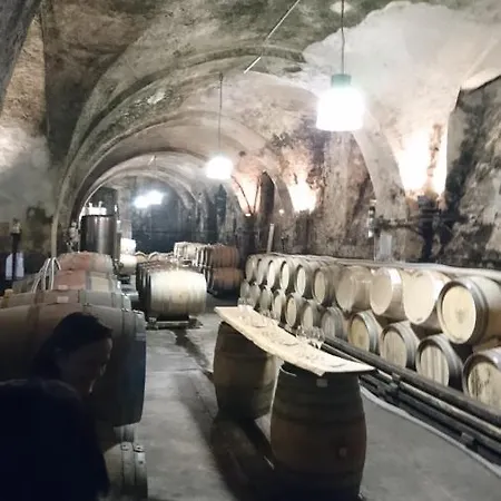 Casa Asensio Ebringen