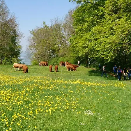 Apartamento Casa Asensio