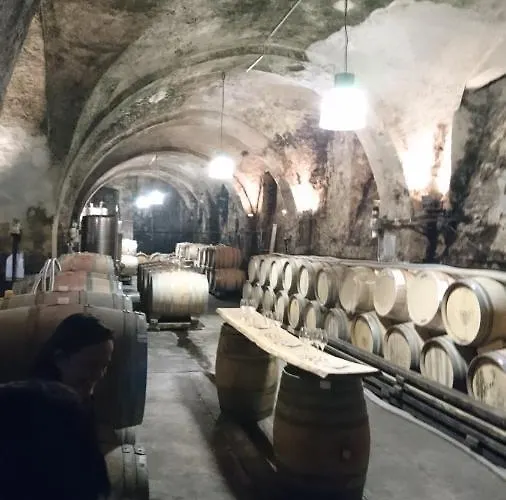 Casa Asensio Ebringen