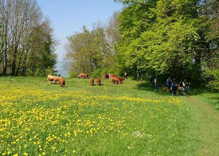 Διαμέρισμα Casa Asensio