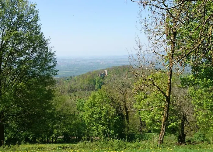 Διαμέρισμα Casa Asensio *